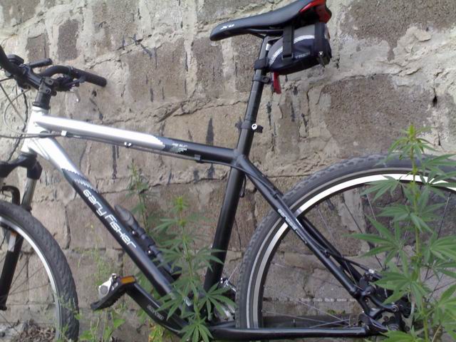  150720091175.jpg