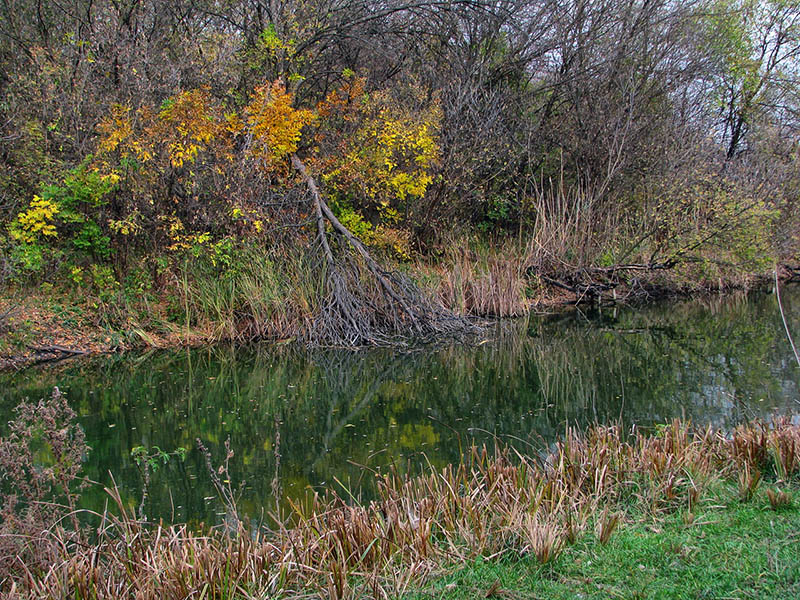IMG_5759_.jpg