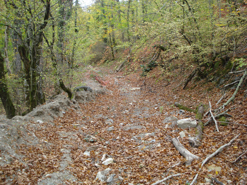 DSC07475.jpg
