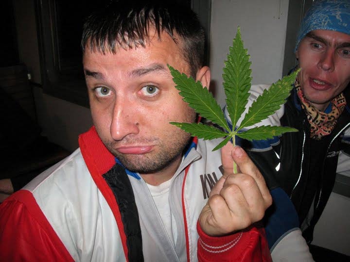 kannabis.jpg