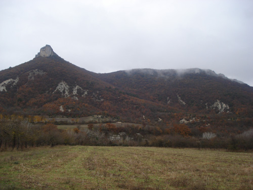 DSC08604.JPG