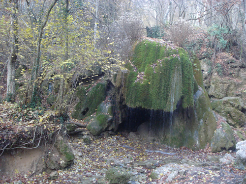 DSC08547.JPG