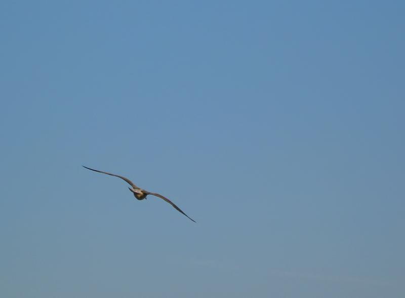 IMG_5838.jpg