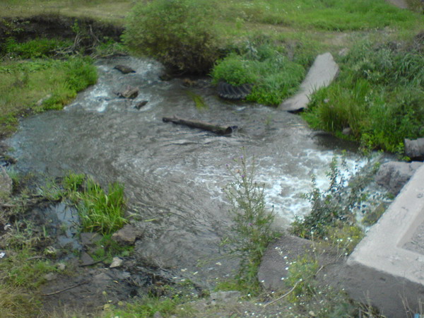 DSC00310_resize.JPG