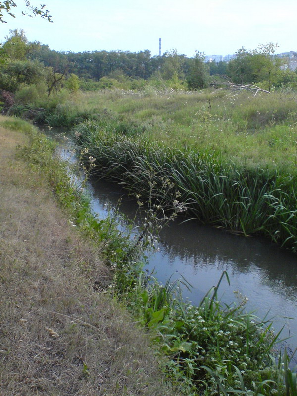 DSC00309_resize.JPG