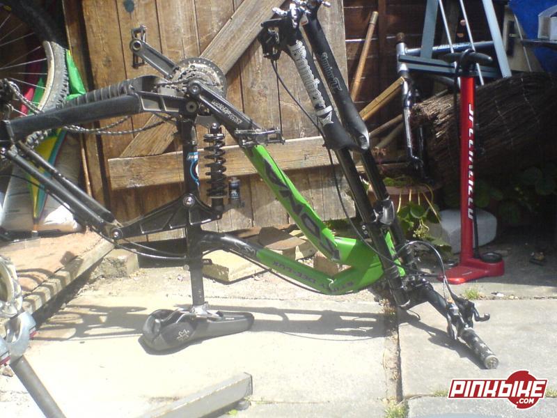 pbpic1111183.jpg
