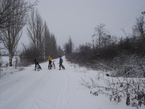 DSC09005.jpg