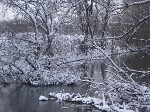 DSC09016.jpg
