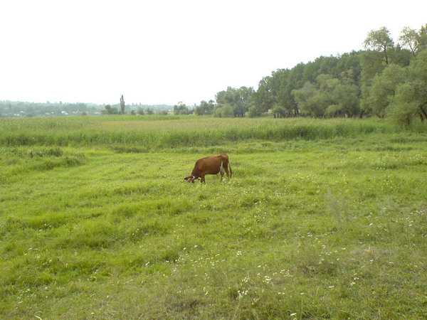 DSC00305_resize.JPG