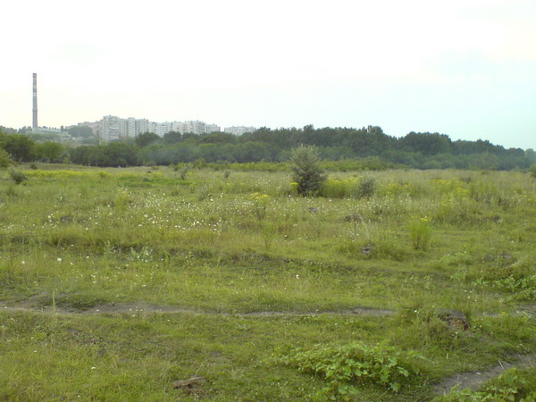 DSC00320_resize.JPG