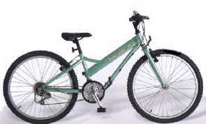 fiets_bandana.jpg