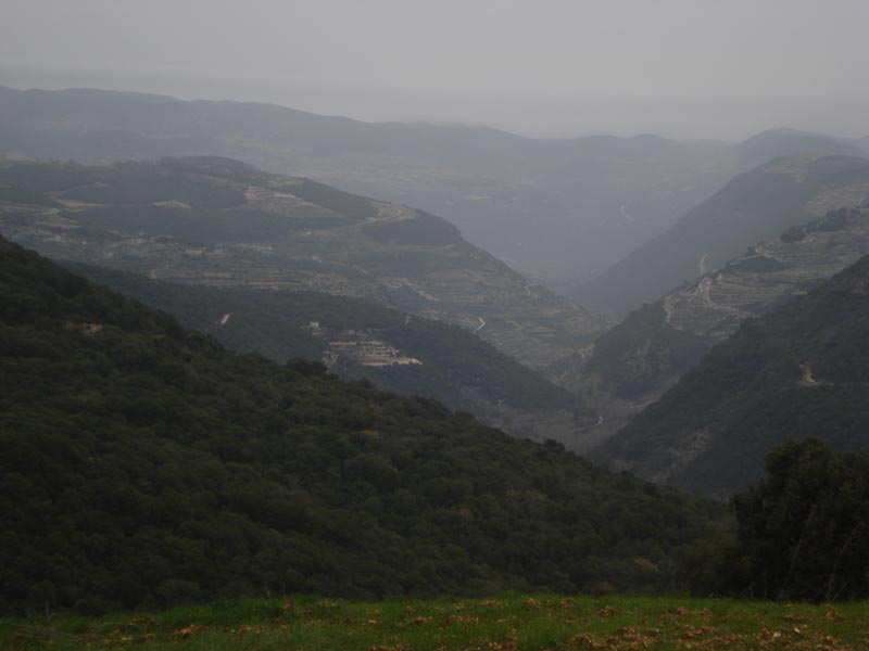 DSC09269.jpg