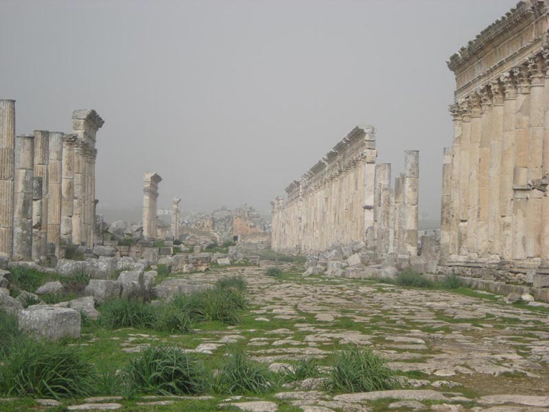 DSC09350.jpg