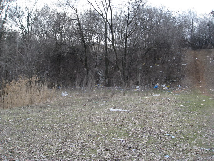 IMG_7432_resize.JPG