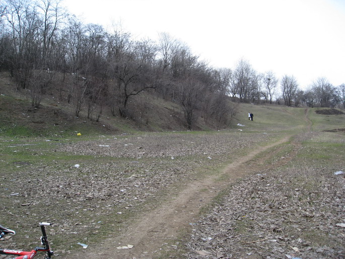IMG_7434_resize.JPG