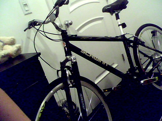 Snapshot_20100406_7.jpg