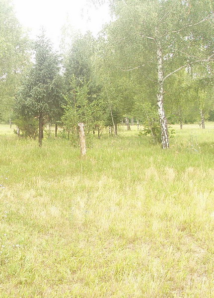 b3.jpg