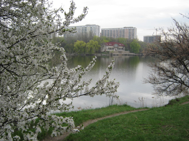 IMG_0124.jpg