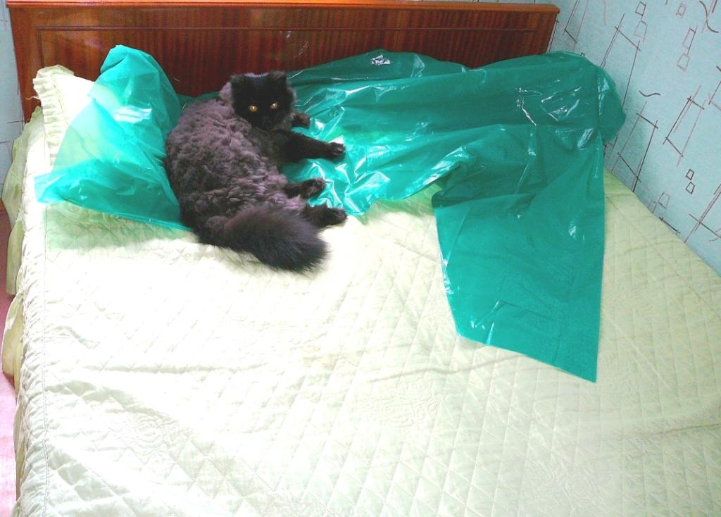 P1030035_1.jpg