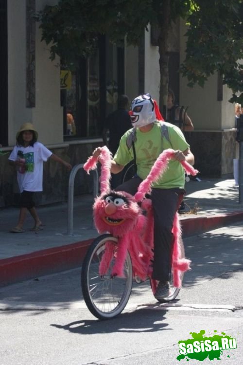 pink.jpg