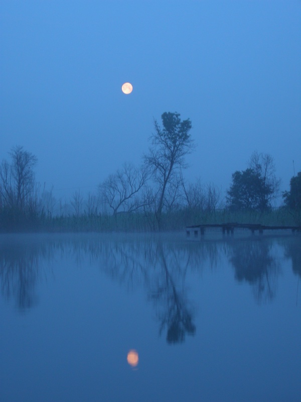 DSCN0544.JPG