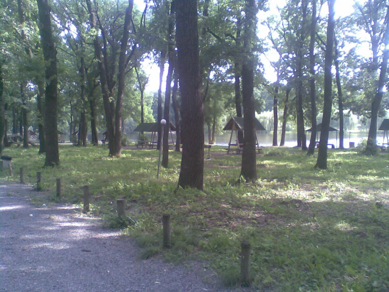 kokok.jpg