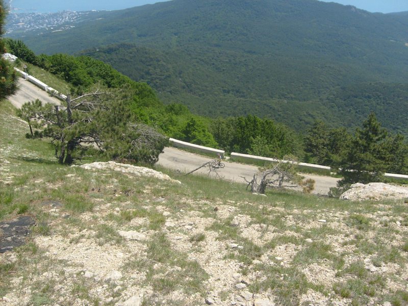 S6304149.JPG