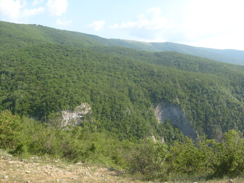 S6304159.JPG