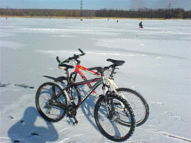 DSC07490.GIF