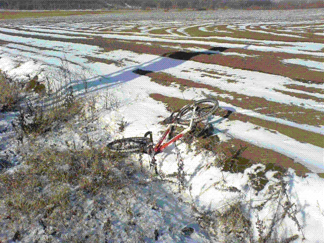DSC07482.GIF