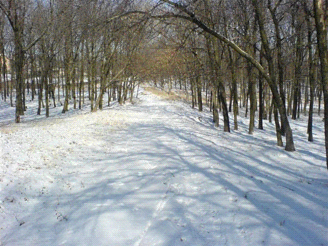 DSC07496.GIF