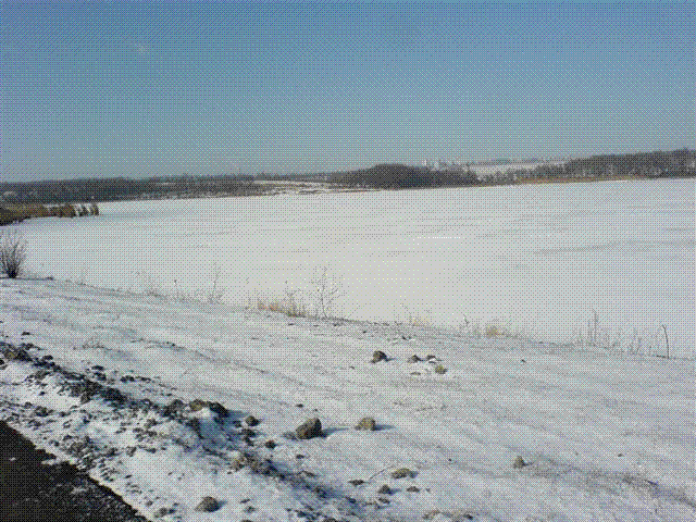 DSC07494.GIF