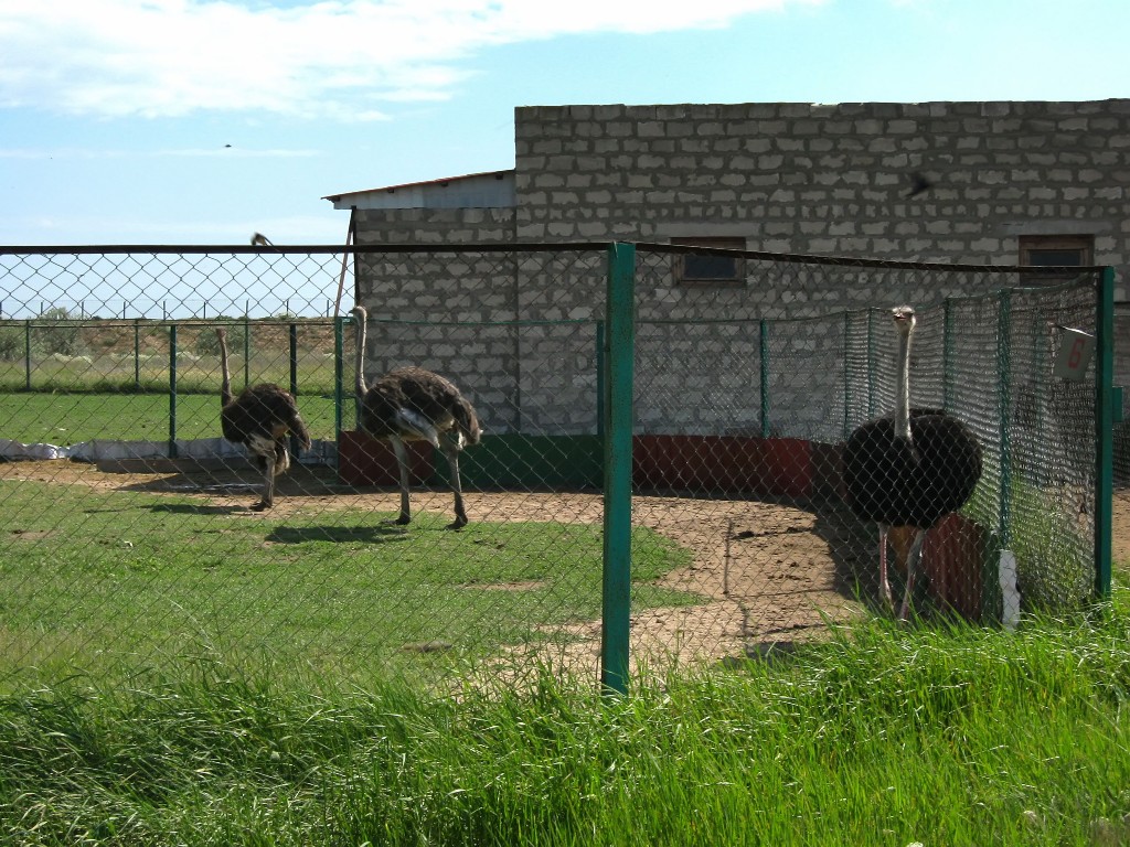 IMG_6907.JPG