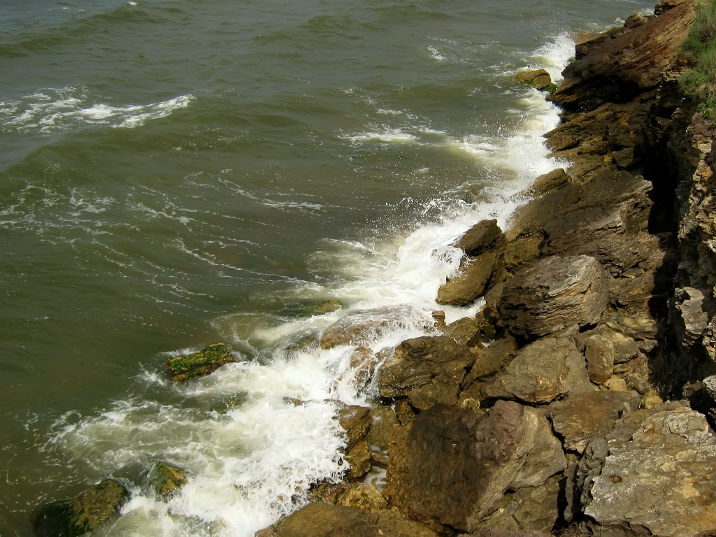 IMG_7015.JPG