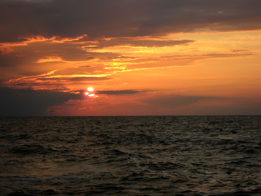 IMG_7099.JPG