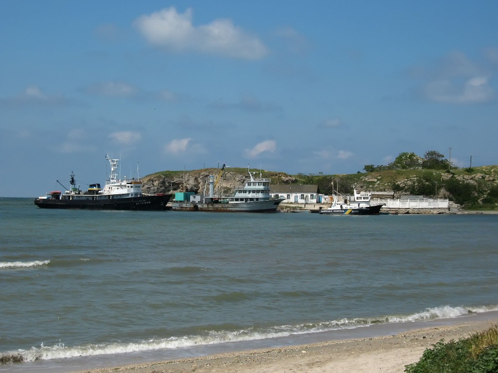 IMG_7115.JPG