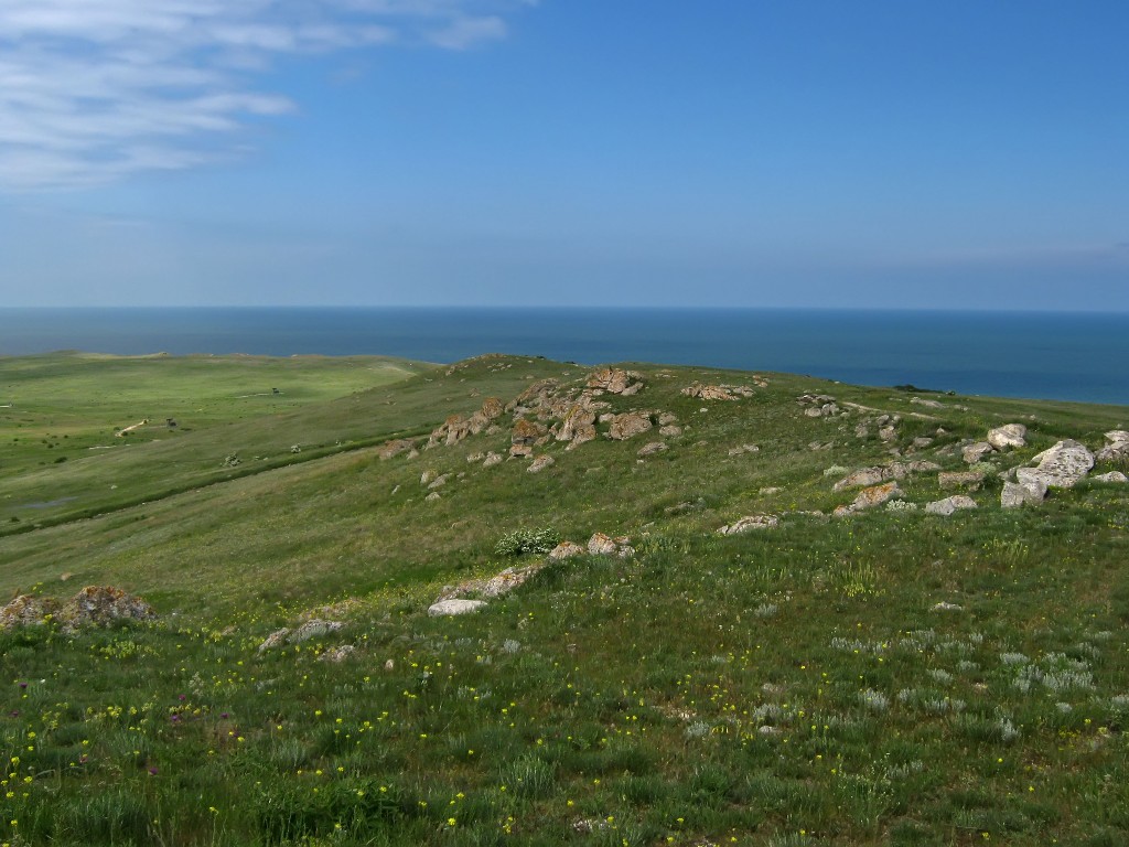 IMG_7150.JPG