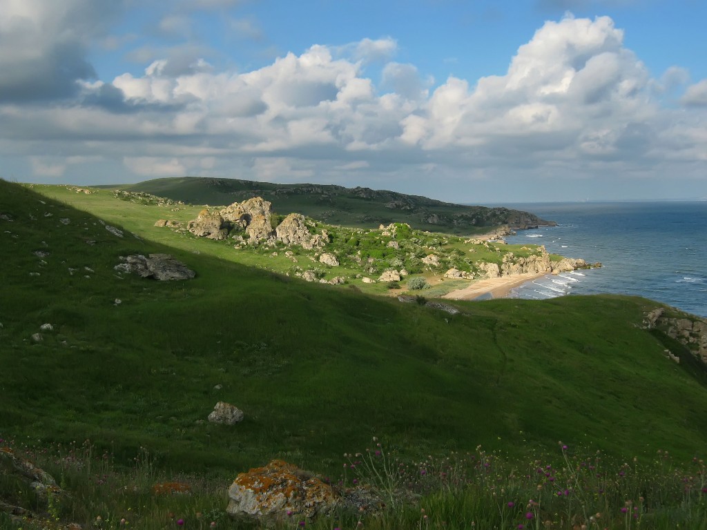 IMG_7324.JPG