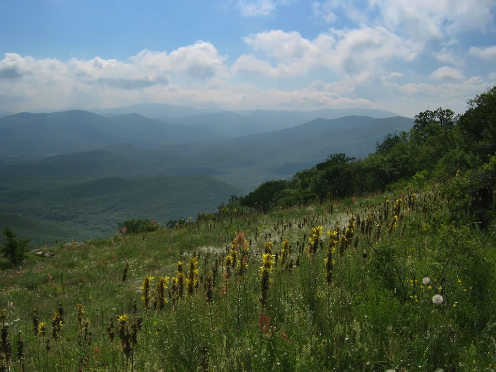 IMG_7800.JPG