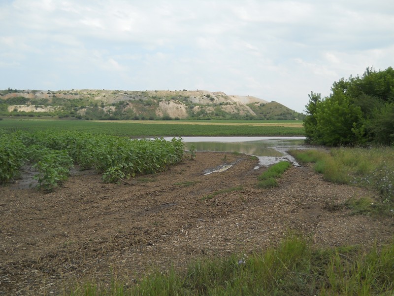 DSCN3680800x600.JPG