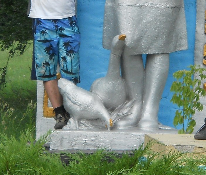 Гуси.JPG
