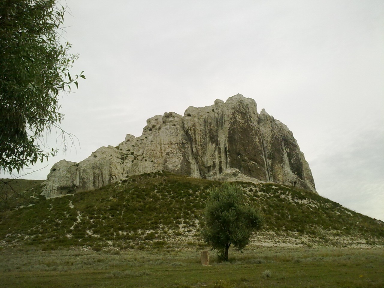 25072010002_.jpg