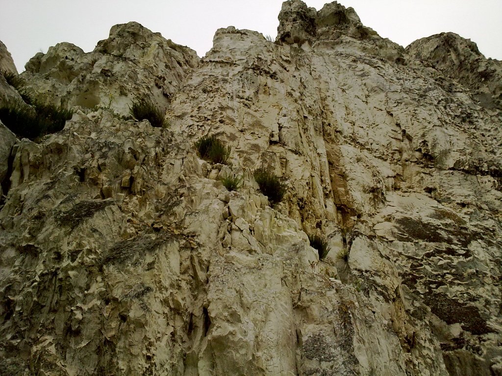 25072010009_.jpg