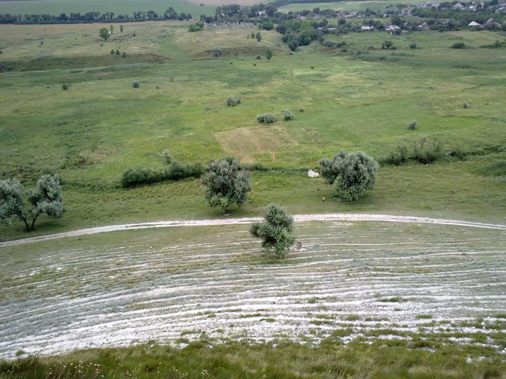 25072010011_.jpg
