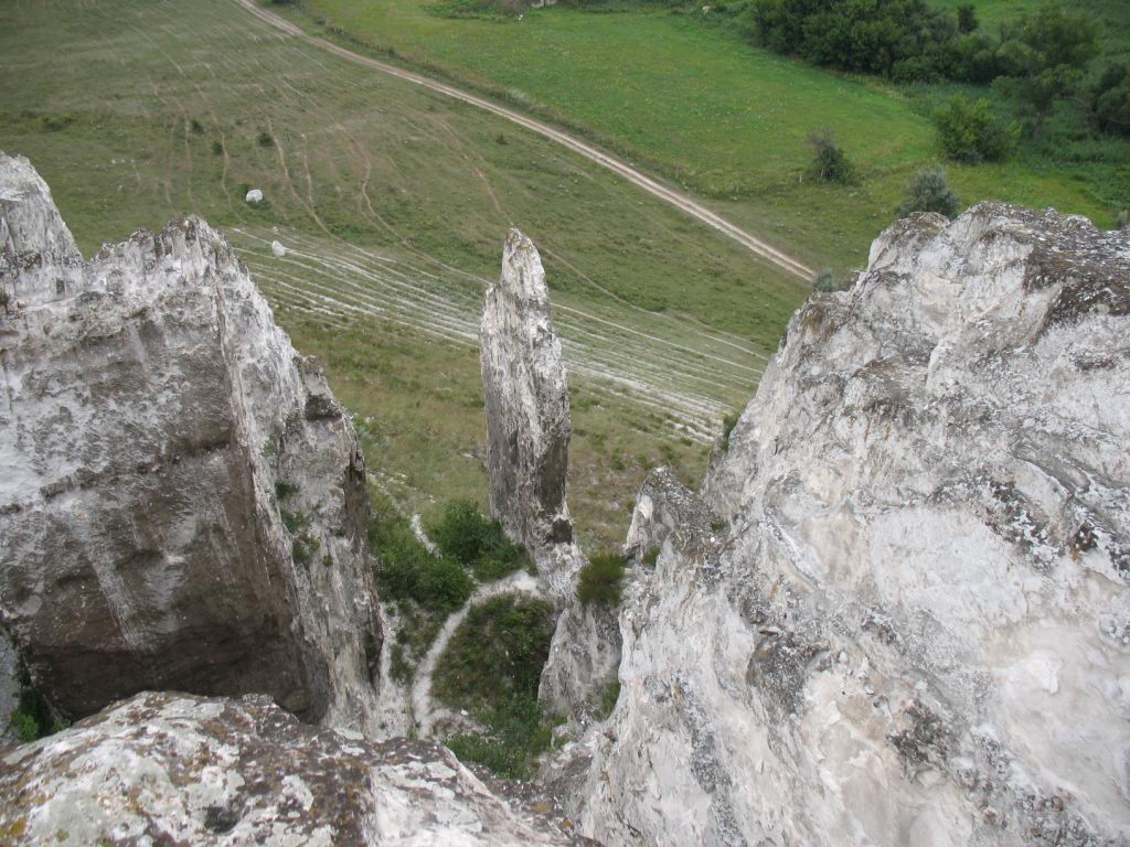IMG_0523.jpg