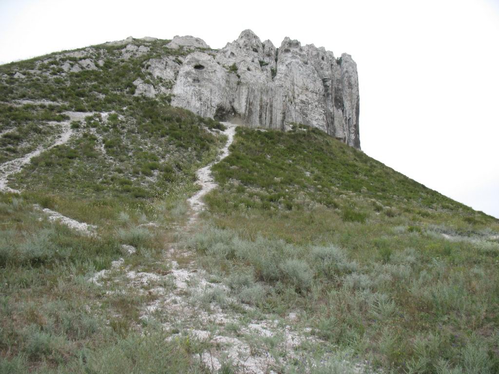 IMG_0546.jpg