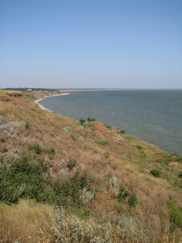 IMG_9445_1.jpg
