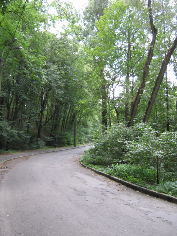 IMG_0998_resize.jpg