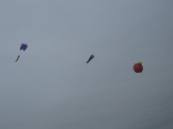 IMG_1075_resize.JPG