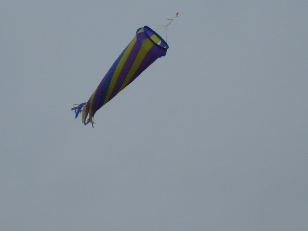 IMG_1077_resize.JPG